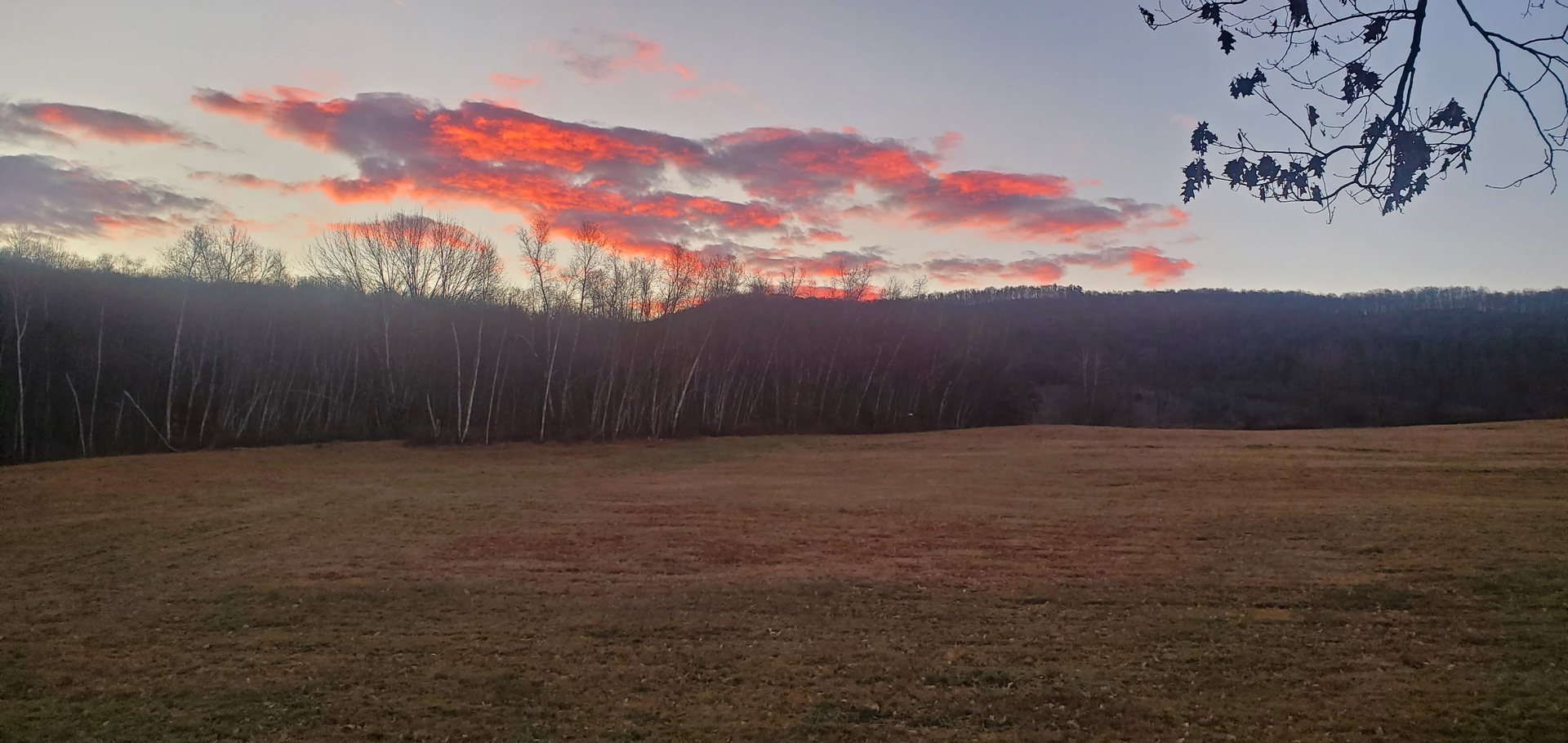 Sunrise over a Vermont field, seen from a treestand